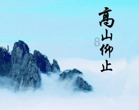 苹果期权聚焦：1月25日成交77.87万张，未平仓合约538.05万张