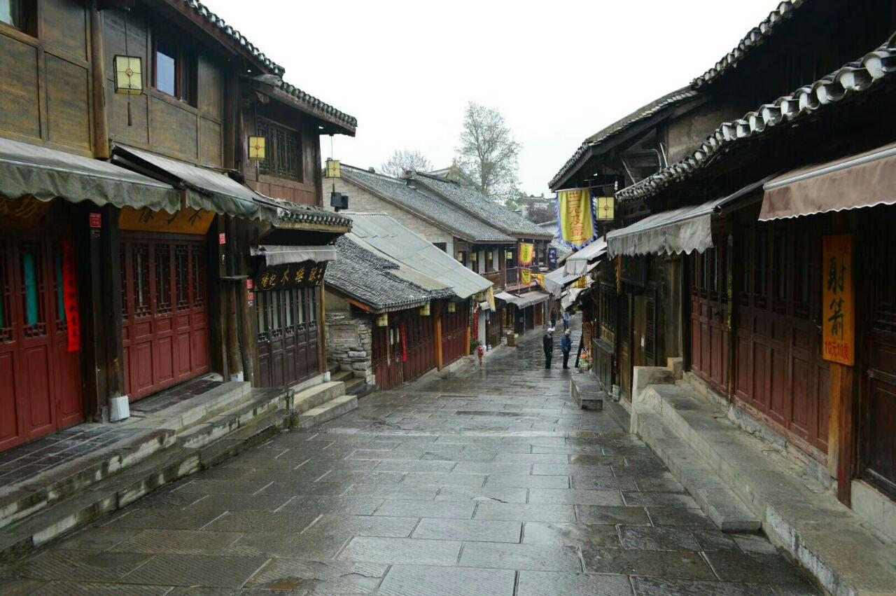 逃离橡子树种植地